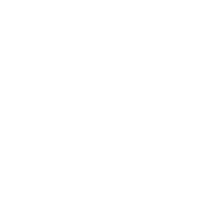 Shine Counselling Logo White