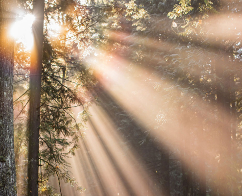 Shine Counselling - Cochrane, Alberta.